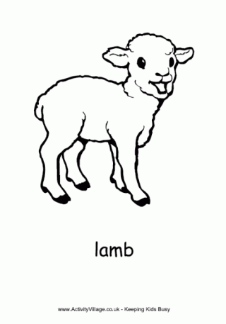 Sheep Colouring Pages